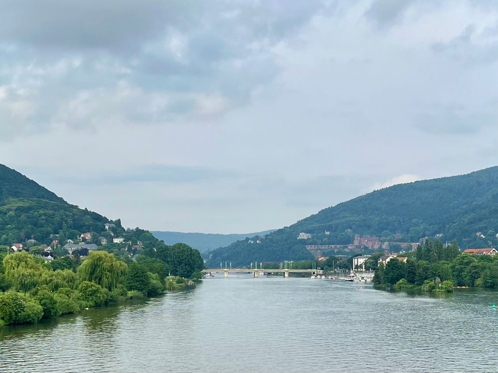 the river Neckar and the city of Heidelberg