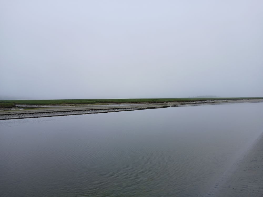 The horizon is a low strip of beach grass across a still channel in the fog.