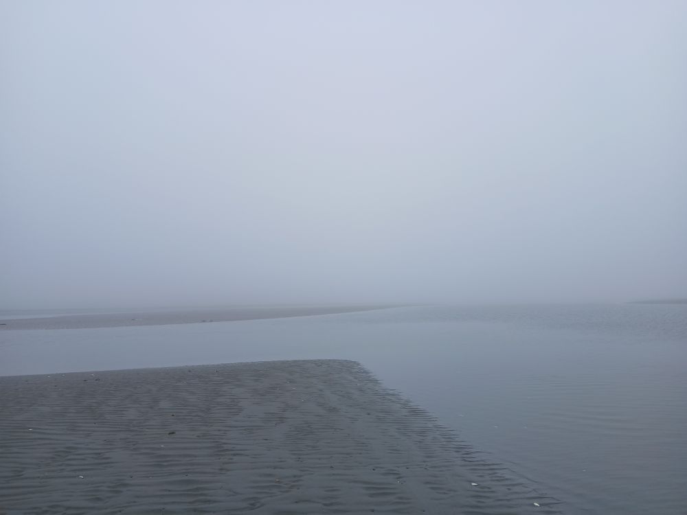 A bend in a channel, everything is grey and foggy.