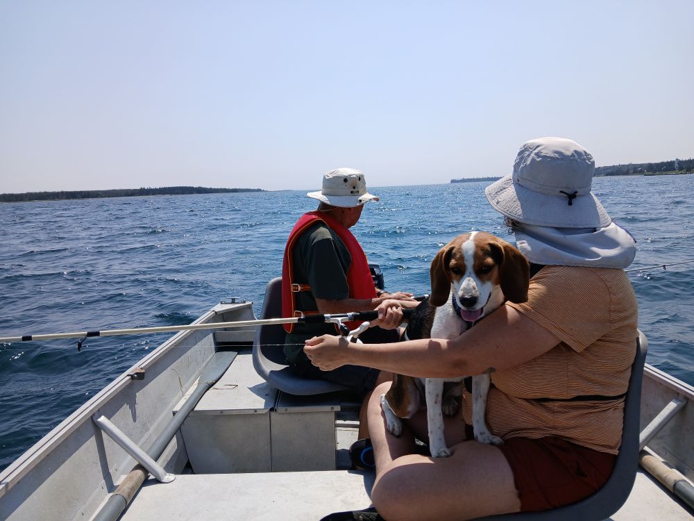 Two people wearing sun hats and life jackets fishing with rods from a small aluminum boat. A beagle is sitting on one person's lap. 