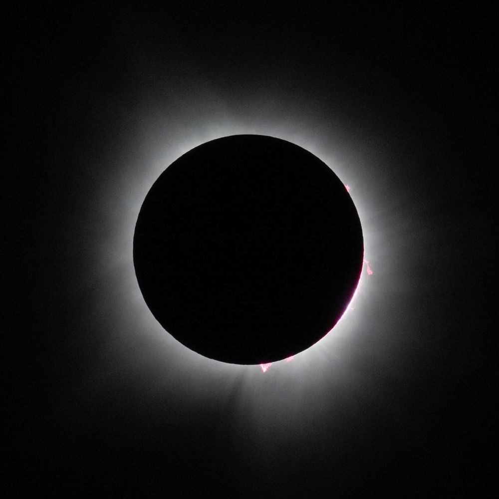 The darkness of a new moon completely covers the face of the sun. A halo of white light can be seen around the Lunar circumference. Jaggy pink tendrils, known as solar prominences, can be seen at the three and six o'clock positions.
