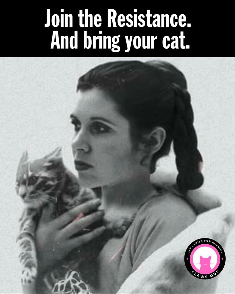 Princess Leia holding a cat with a caption that reads, "Join the resistance. And bring your cat."