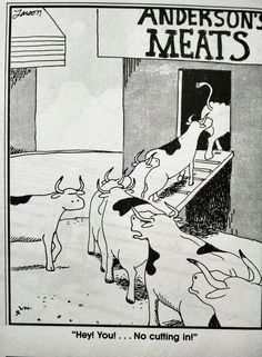 hey you... no cutting in!