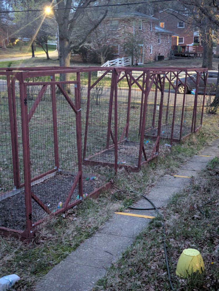 Three raised garden beds in a row. Each bed has a red wooden frame around it, about 8 feet high, which supports wire fencing. 