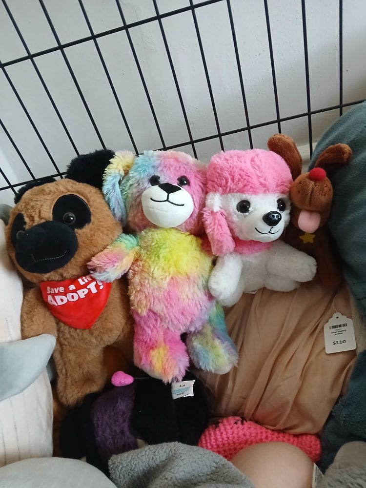 a row of four different dog plushies in sky <3 's crate 