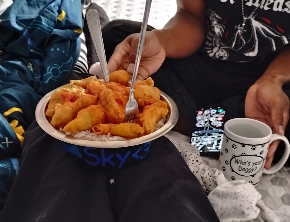 a bowl with a bone that says "Sky <3" in blue text with chinese sweet and sour chicken. there is also a mug that says "Who's your doggy?" filled with water 