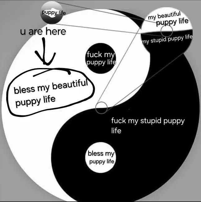 a yin yang with the different sections labeled. "bless my beautiful puppy life" is circled with an arrow pointing to it saying "you are here" 