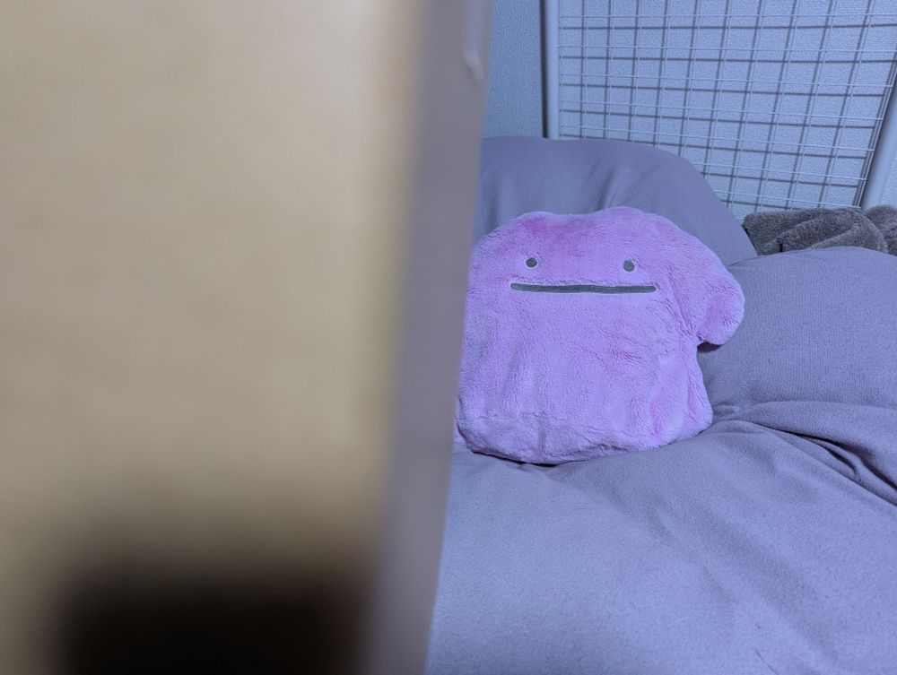 無地の箱を見つめるふわふわメタモンぬいぐるみ