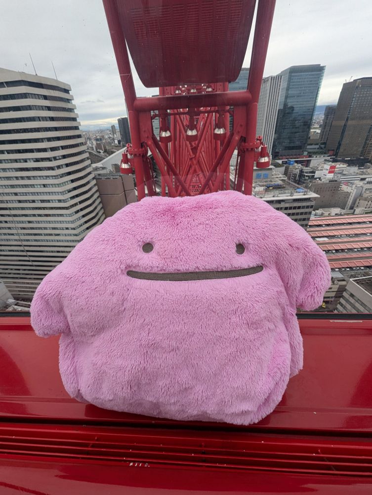 観覧車に乗っているふわふわメタモンぬいぐるみ
