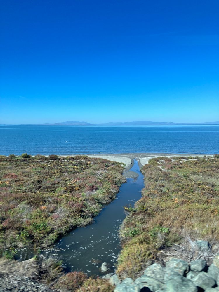 View of the San Francisco Bay with an estuary area in the foreground, taken out a train window 