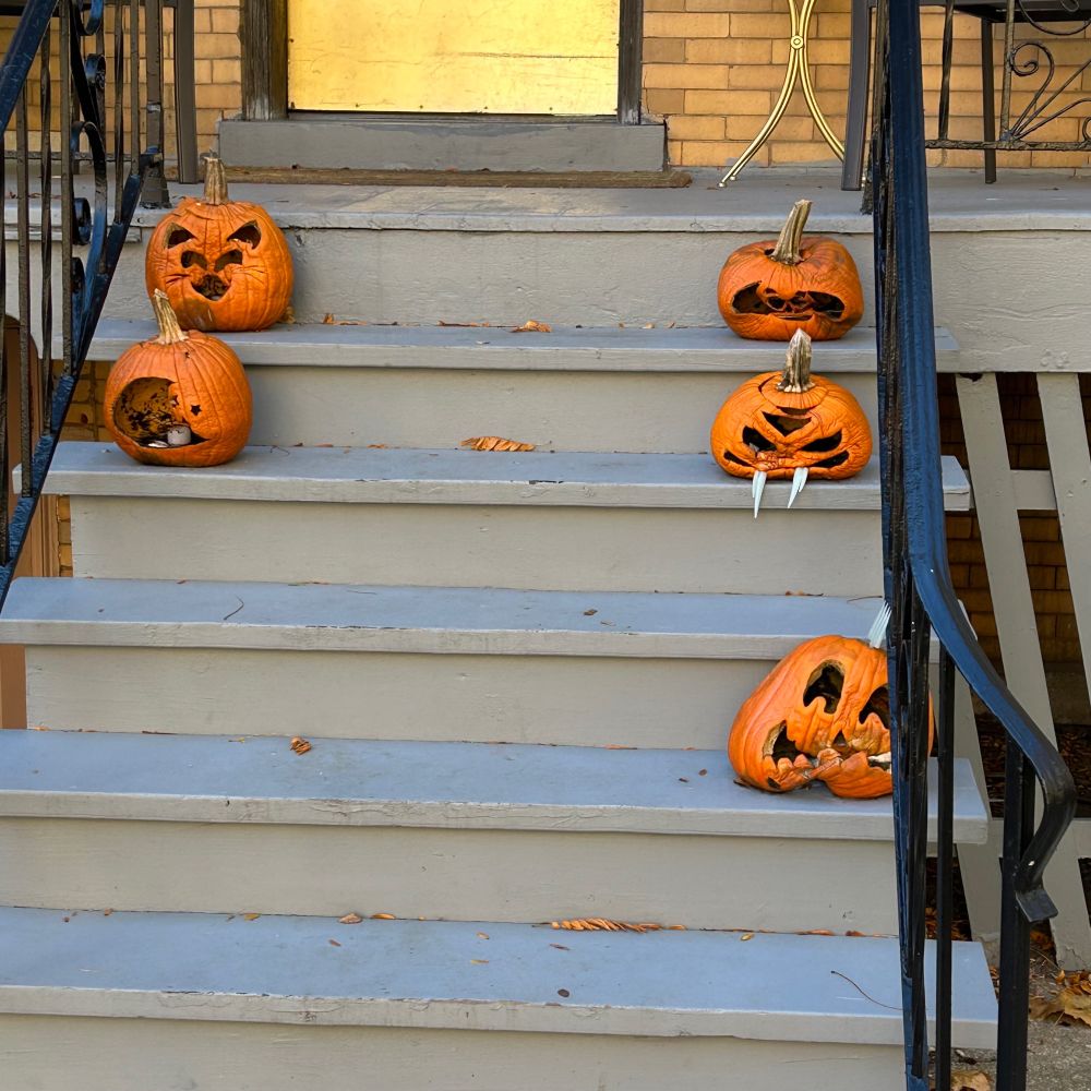 A week after Halloween, jack o lanterns start to collapse into themselves.