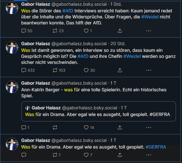 Screenshot von Gabor Halasz, dessen Lieblingspronomen "was" ist.