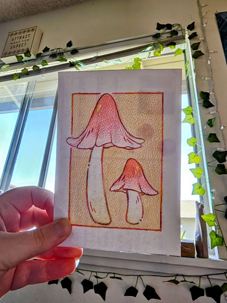 A white hand holds up a postcard-size canvas that is semi-transparent. On the front, there are several pink-capped mushrooms drawn over an orange background. The stems are white. On the backside of the postcard you can faintly see writing and stamps. In the background of the postcard are fake ivy plants growing around a window. A bright blue sky is visible beyond them. You can also see a cat statue sitting on the windowsill. At the very top left, there is a sign that says "Attract what you expect."