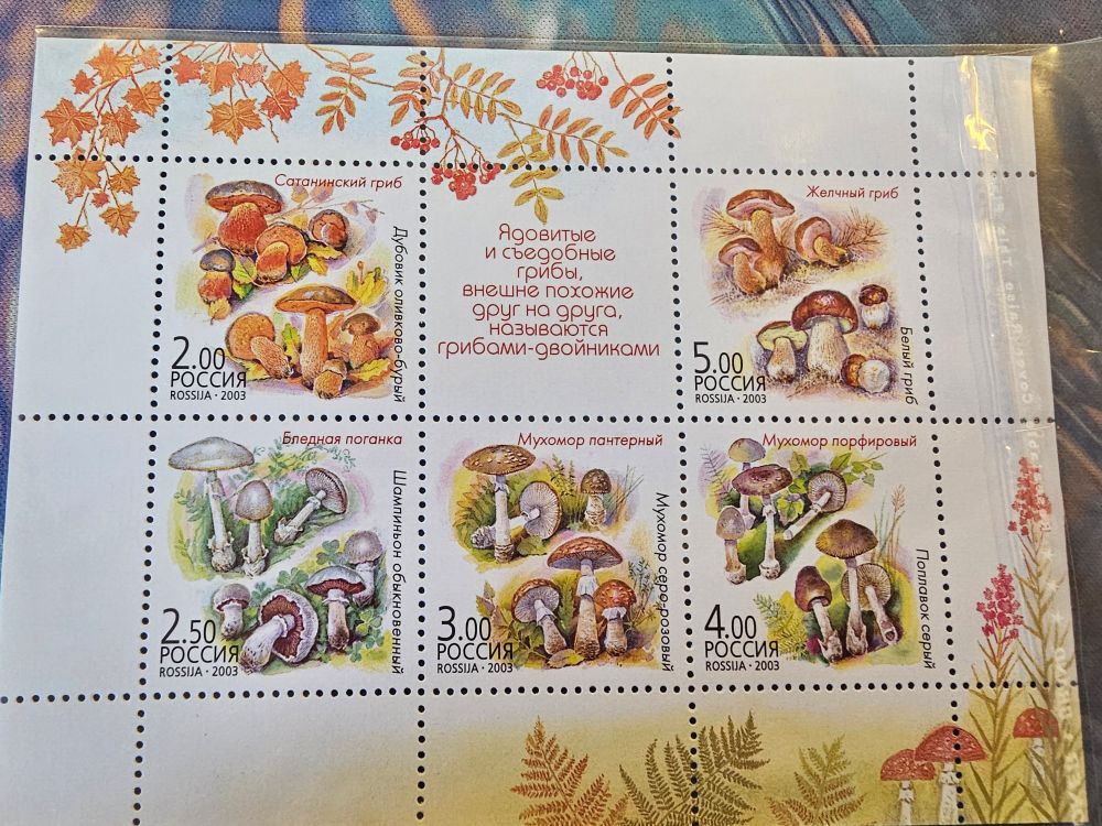 It's a full sheet of Russian mushroom stamps on a blue deskmat background. The corners of the stamp sheet are decorated with Amanaita Muscaria in the bottom right, and with autumn leaves in the top left. There are 5 stamps, each depicting a different species. 