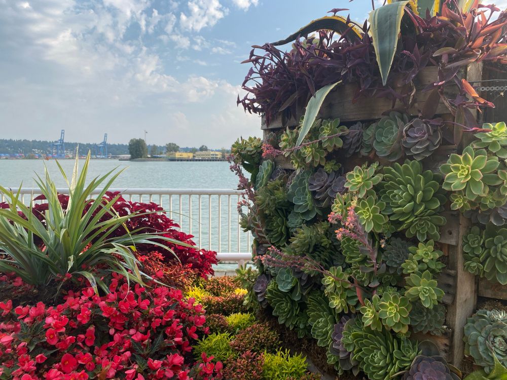 A beautifully designed garden with flowers and succulents next to the river 
