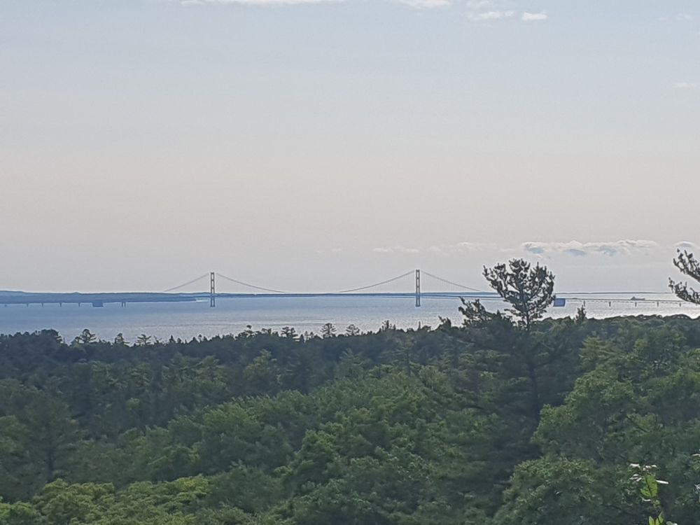 Suspension bridge on the horizon with dark green forest in the foreground.