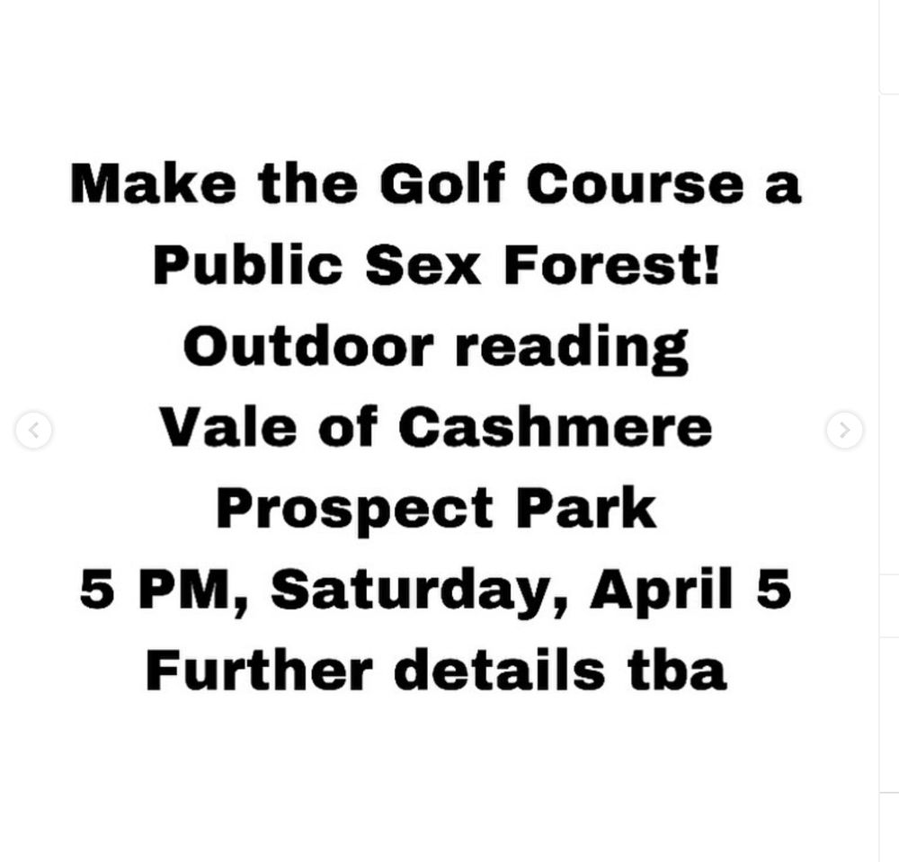 minimal flyer for sex forest reading. vale of cashmere, prospect park, details subject to change, 5 pm april 5.