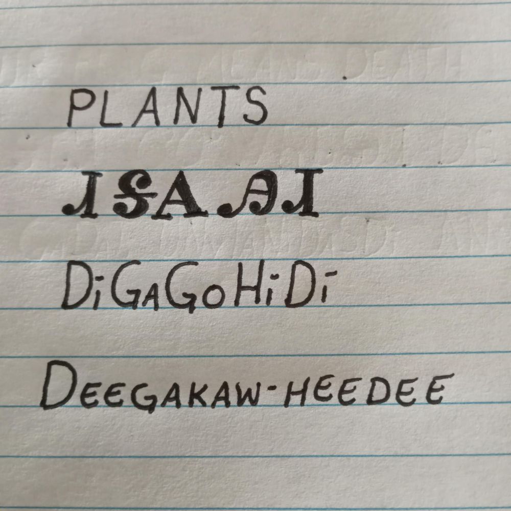 Image is line paper with writing showing an English word followed by how it is written in the Cherokee language followed by how it is spelled and pronounced. The word is plants and pronounced deegakaw-heedee