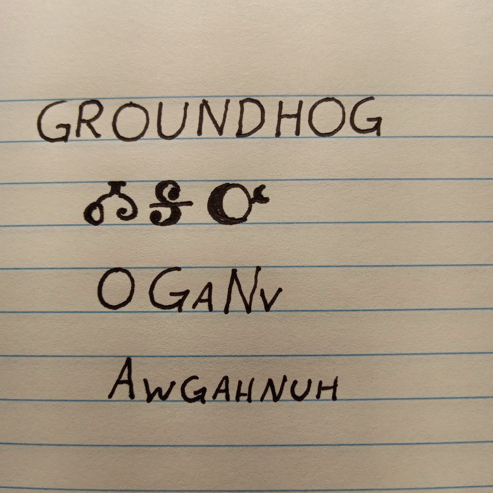Image is line paper with writing showing an English word followed by how it is written in the Cherokee language followed by how it is spelled and pronounced. The word is groundhog and pronounced awgahnuh