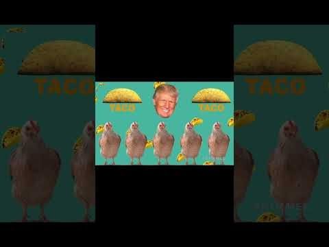 #Trump hates his new nickname TACO so out of respect we made this song! 🌮 🕺🎶 #Kimmel