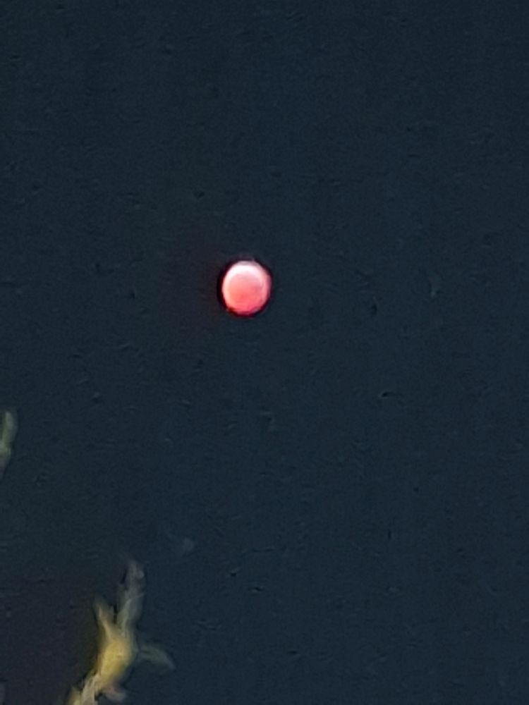 A zoomed in picture of the blood moon 