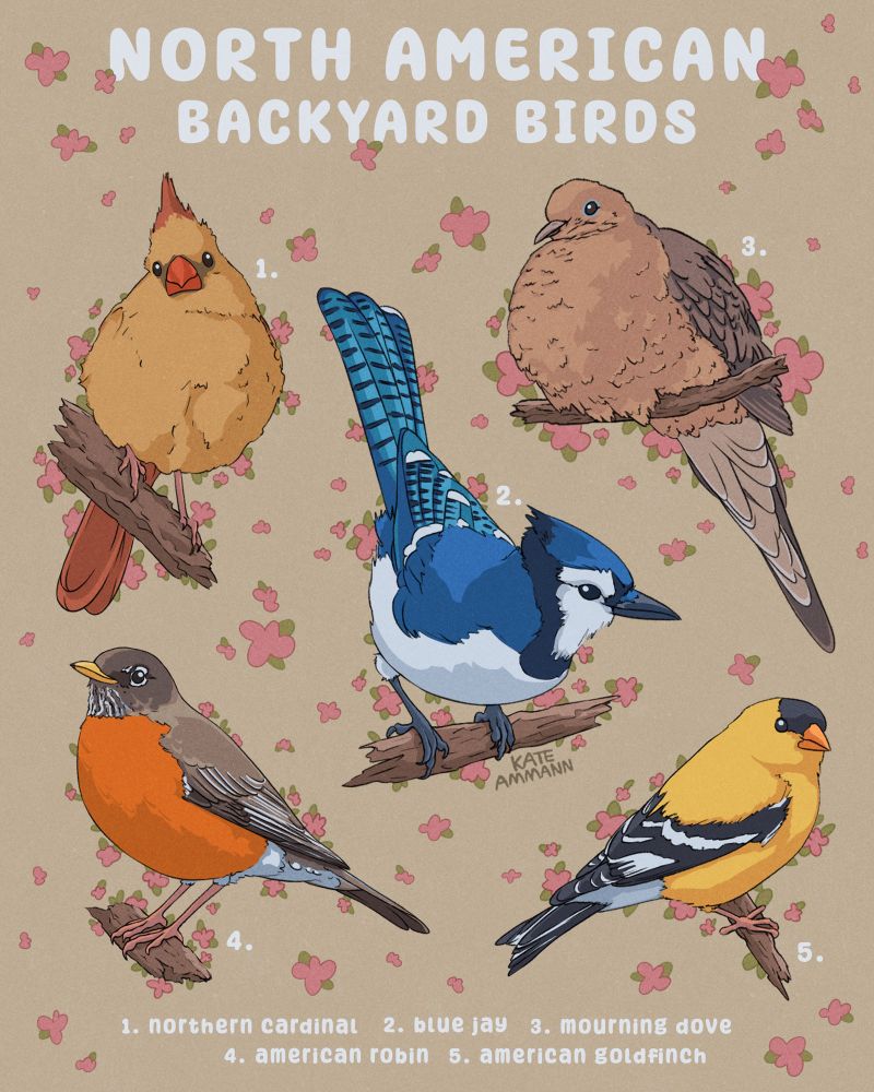 Illustration of 5 North American backyard birds. From left to right, top to bottom, female northern cardinal, mourning dove, blue jay, american robin, and an american goldfinch. They are each perched on a small branch, and rosy pink flowers surround them. The background is beige. 