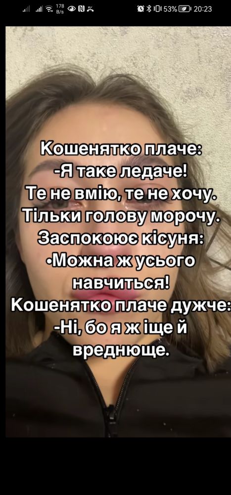 Кошеня вірш