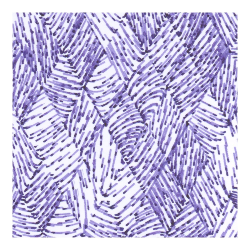 close-up detail of the same pen plotter drawing.