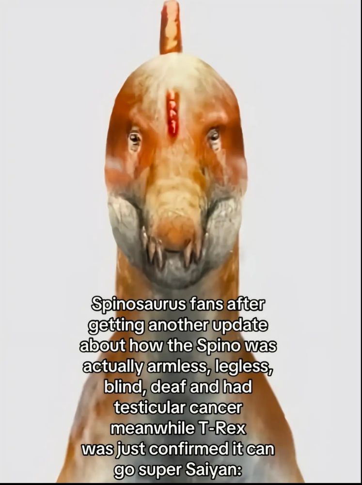 A front view of a spinosaurus with the caption "spinosaurus fans after getting another update about how the spino was actually armless, legless, blind, deaf, and had testicular cancer meanwhile T-Rex was just confirmed it can go super Saiyan"
