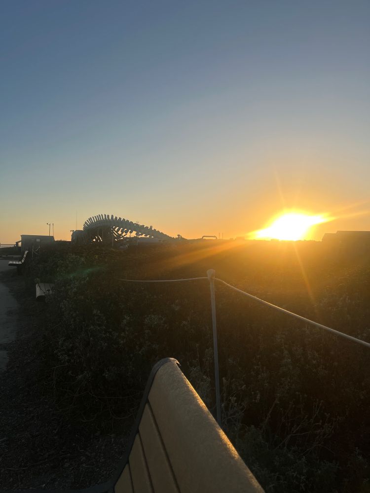 The sun about to set with a random set of what bones in the distance