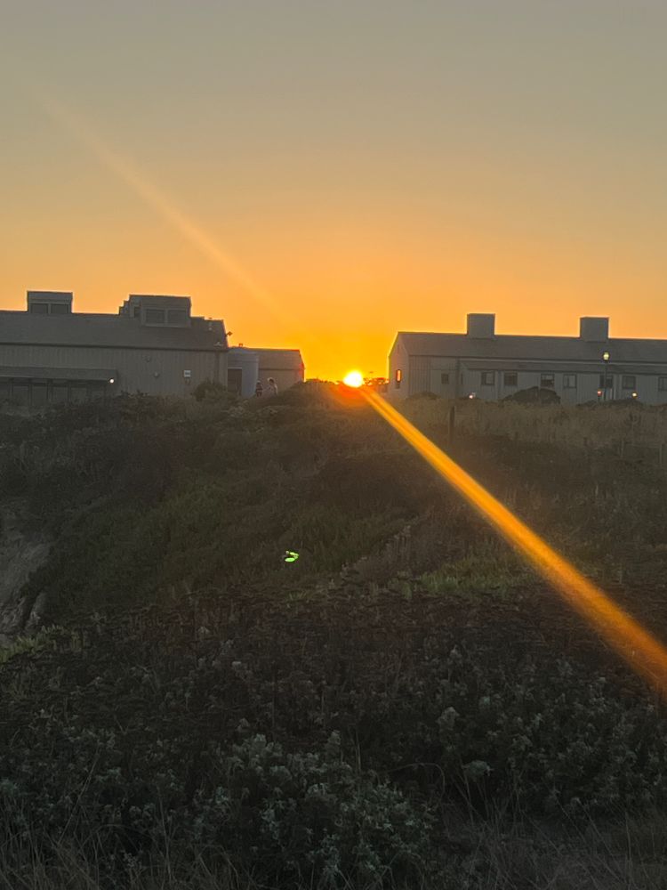 The sun setting between two buildings with rays flaring out
