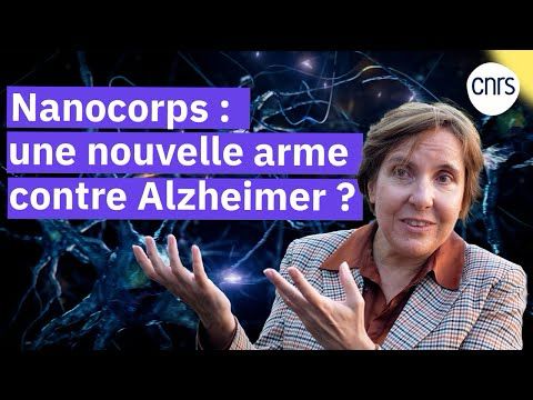 Nanocorps agir au cœur des neurones Alzheimer | Reportage CNRS