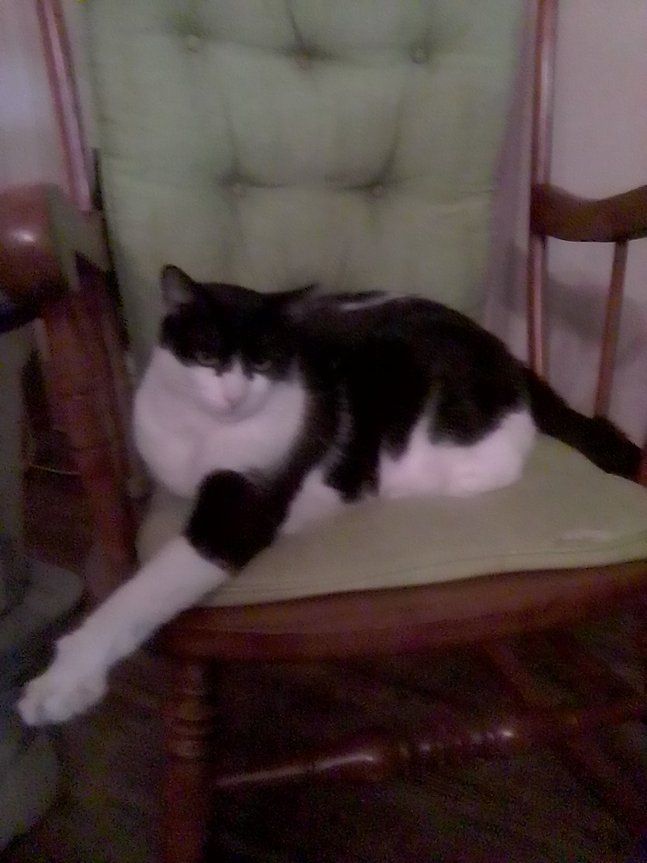 A somewhat blurry photo of a large, green-eyed Tuxedo cat in a rocking chair