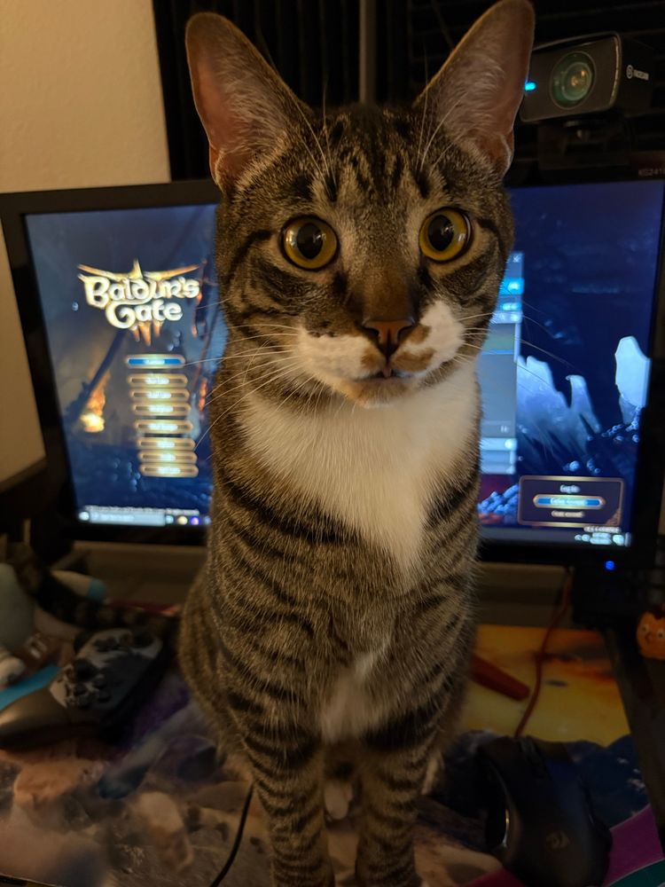 Standard issue cat Crunchwrap Supreme sticks out his tongue in front of a monitor that has Baldur’s Gate 3 loaded