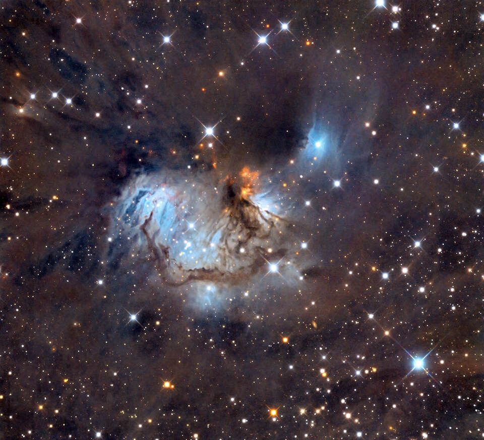 The image shows NGC 2185 and NGC 2183, two reflection nebulae in southeastern Monoceros.
The area around them is full of Young Stellar Objects (YSOs) and Herbig-Haro objects.  Their color glows blue. They stand in the center of the image against a background of a dark, starry sky.