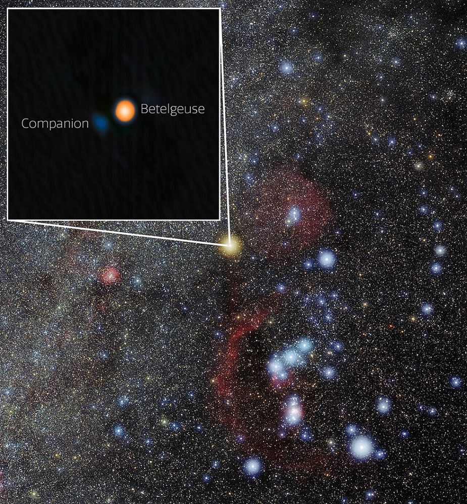 The image shows a vast star field with a faint yellow-orange star, Betelgeuse, at its center. Two white segments radiate from it, converging toward a black box at the upper left. In the box, Betelgeuse appears as a bright orange, almost circular disk, next to its companion, a smaller, less well-defined, dark blue star located slightly to the lower left of Betelgeuse. The companion, detected with the 'Alopeke instrument on the Gemini North telescope, is a hot, young star. This discovery explains Betelgeuse's brightness variability every six years.