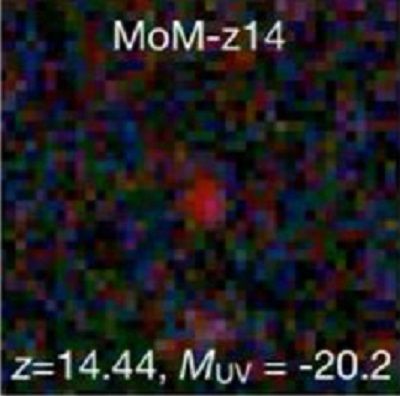 MoM-z14, the most distant galaxy spectroscopically confirmed so far, observed by the James Webb Space Telescope appears as a small, extremely compact object with a reddish color, due to the cosmological redshift, which shifts UV/visible light towards the infrared due to the expansion of the universe.