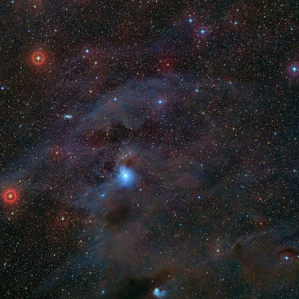 This visible-light image, part of the Digitized Sky Survey 2, shows the position in the sky of the rogue planet Cha 1107-7626. The planet (not visible here) is located exactly at the centre of the frame. It is located in the Chamaeleon constellation, within the Milky Way galaxy.
