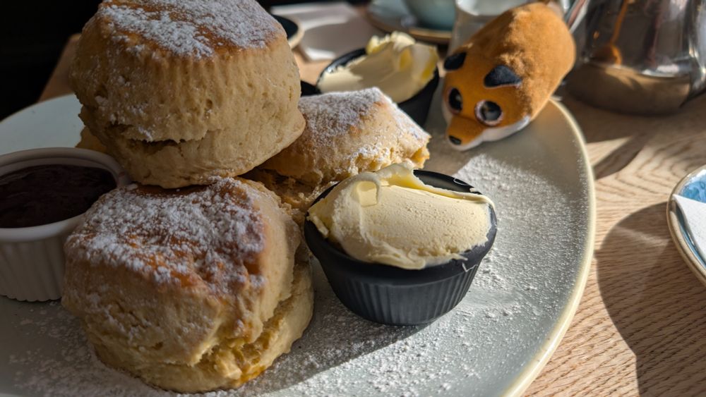 a plate of beautiful scones, jam, and clotted cream, being eyed up by a small thiefy fox plush (his name is fossage, like fox + sausage)