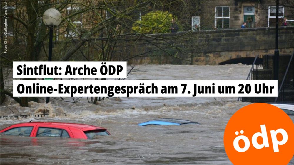 Online-Expertengespräch zum Hochwasserschutz am 07. Juni um 20 Uhr