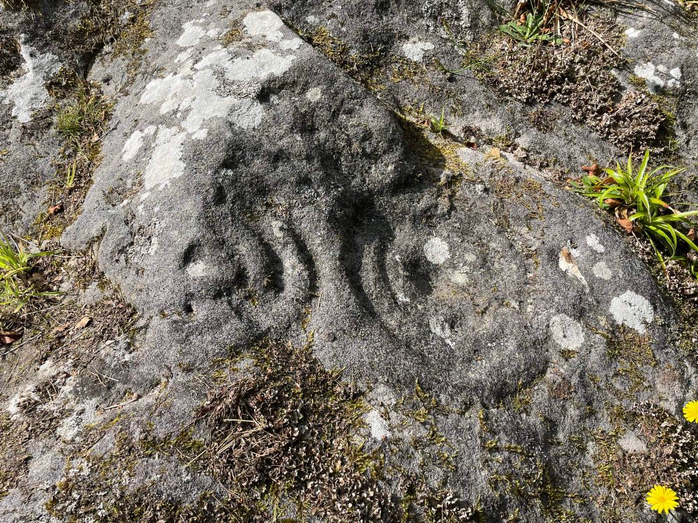 Cup and ring markings 