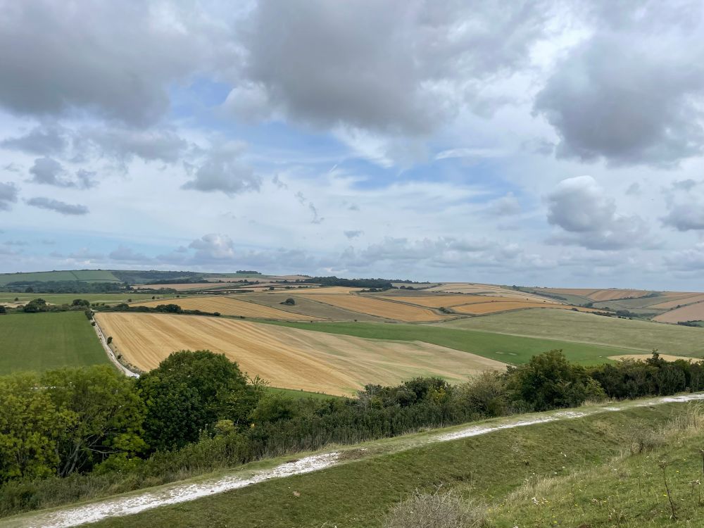 View across fields 