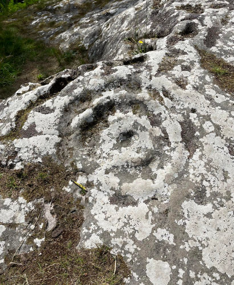 Cup and ring markings in rock