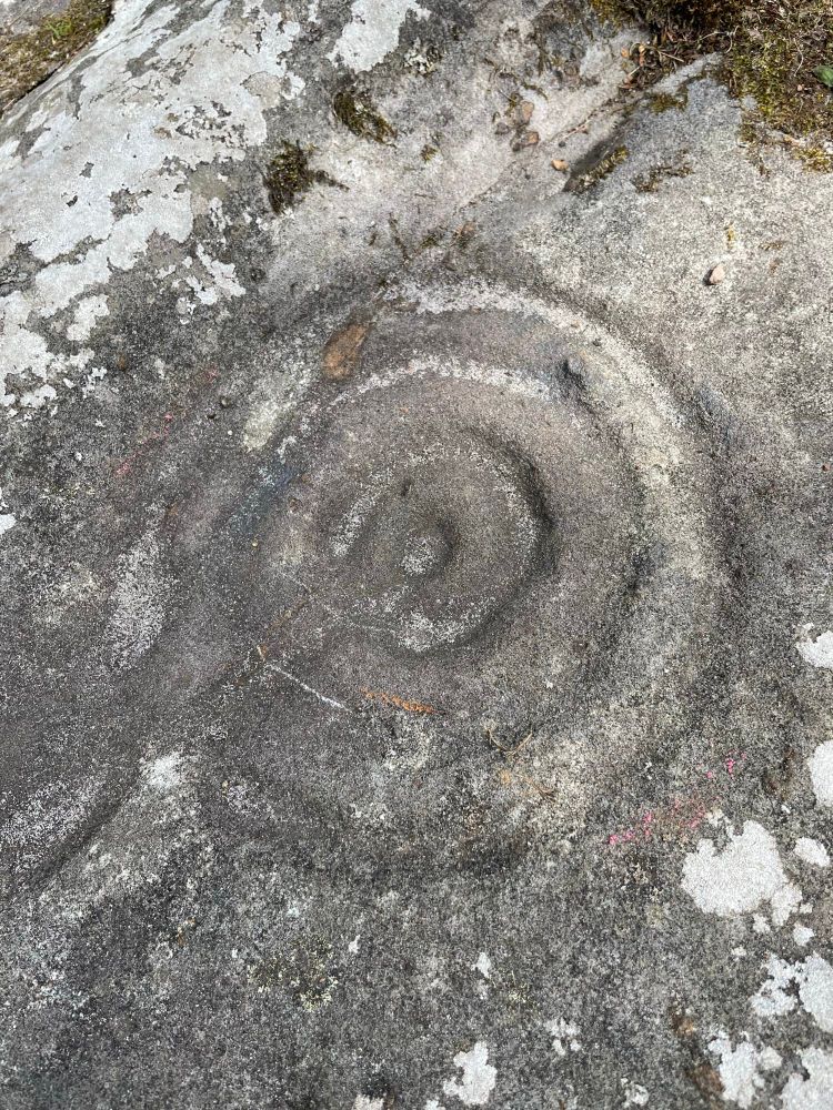 Cup and ring markings 