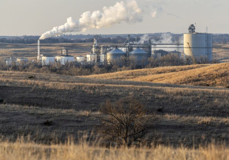 Biofuels policy has been a failure for the climate, new report claims — Ars Technica