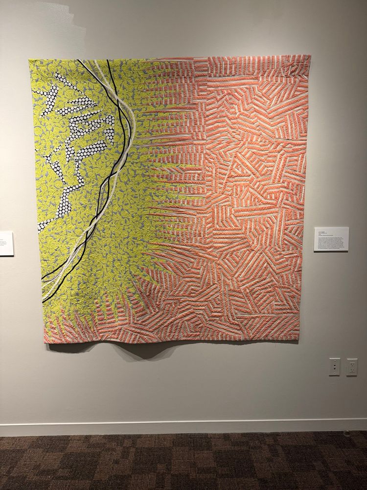 Quit that looks like a map of NYC