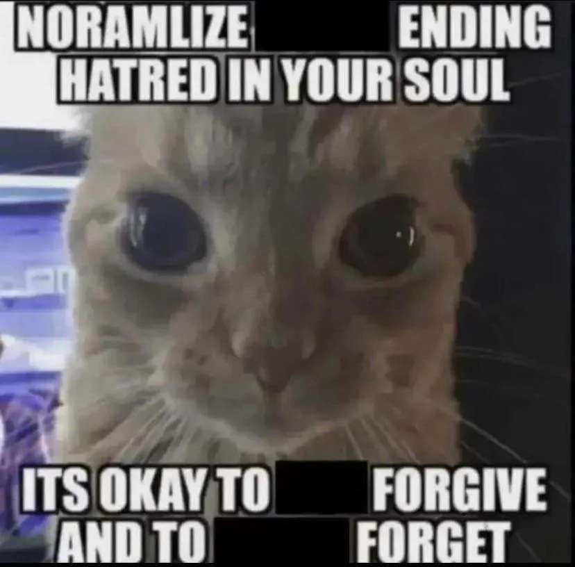 an orange cat stares directly into the camera. the text around it reads NORMALIZE ENDING HATRED IN YOUR SOUL ITS OKAY TO FORGIVE AND TO FORGET