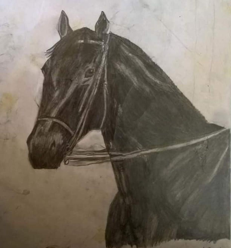 pencil drawing of a horse drawn when i was about 10 years old 