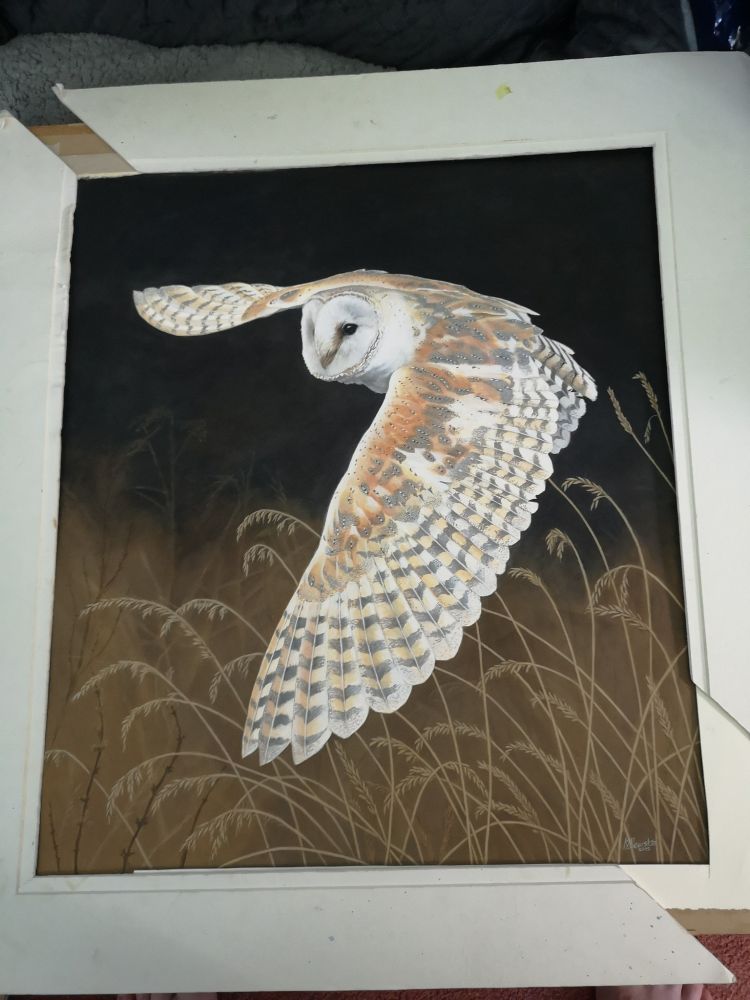 a painting of a barn owl flying on a dark background with grass at the bottom