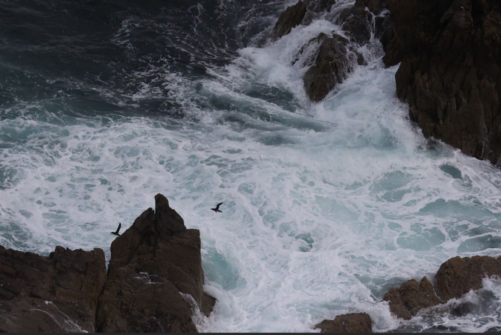 two seabirds flying over waves churning between rocks